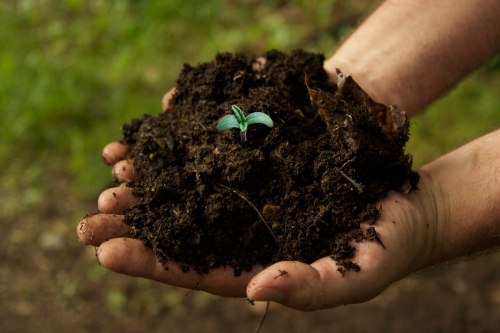 organic-soil-marijuana-hand